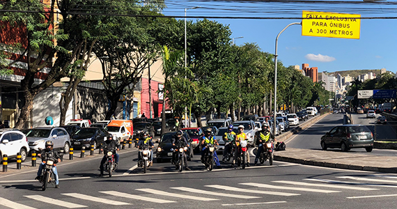 Road Mortality Latam